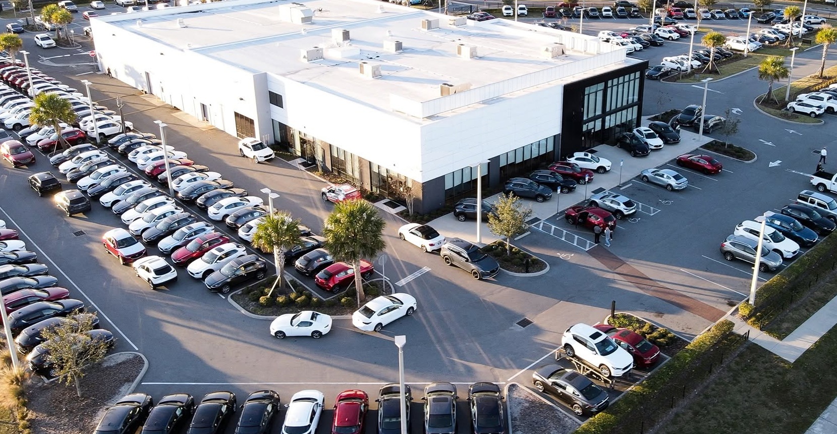 Automotive Dealers